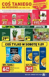Gazetka promocyjna Aldi - Gazetka - ważna od 09.09 do 09.09.2023 - strona 16 - produkty: Pistacje, Gra