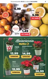 Gazetka promocyjna Netto - Artykuły spożywcze - Gazetka - ważna od 24.12 do 24.12.2022 - strona 5 - produkty: Cyklamen, Gwiazda, Pomelo, Mars, Grejpfrut