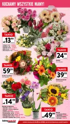 Gazetka promocyjna Intermarche - Gazetka - ważna od 27.05 do 27.05.2024 - strona 2 - produkty: Koc, Gerber, Tulipan, Róża, Storczyk, Bukiet