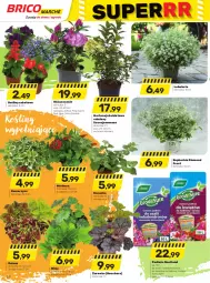 Gazetka promocyjna Bricomarche - Gazetka - Gazetka - ważna od 30.04 do 30.04.2023 - strona 22 - produkty: Koc, Róża, , Bukiet