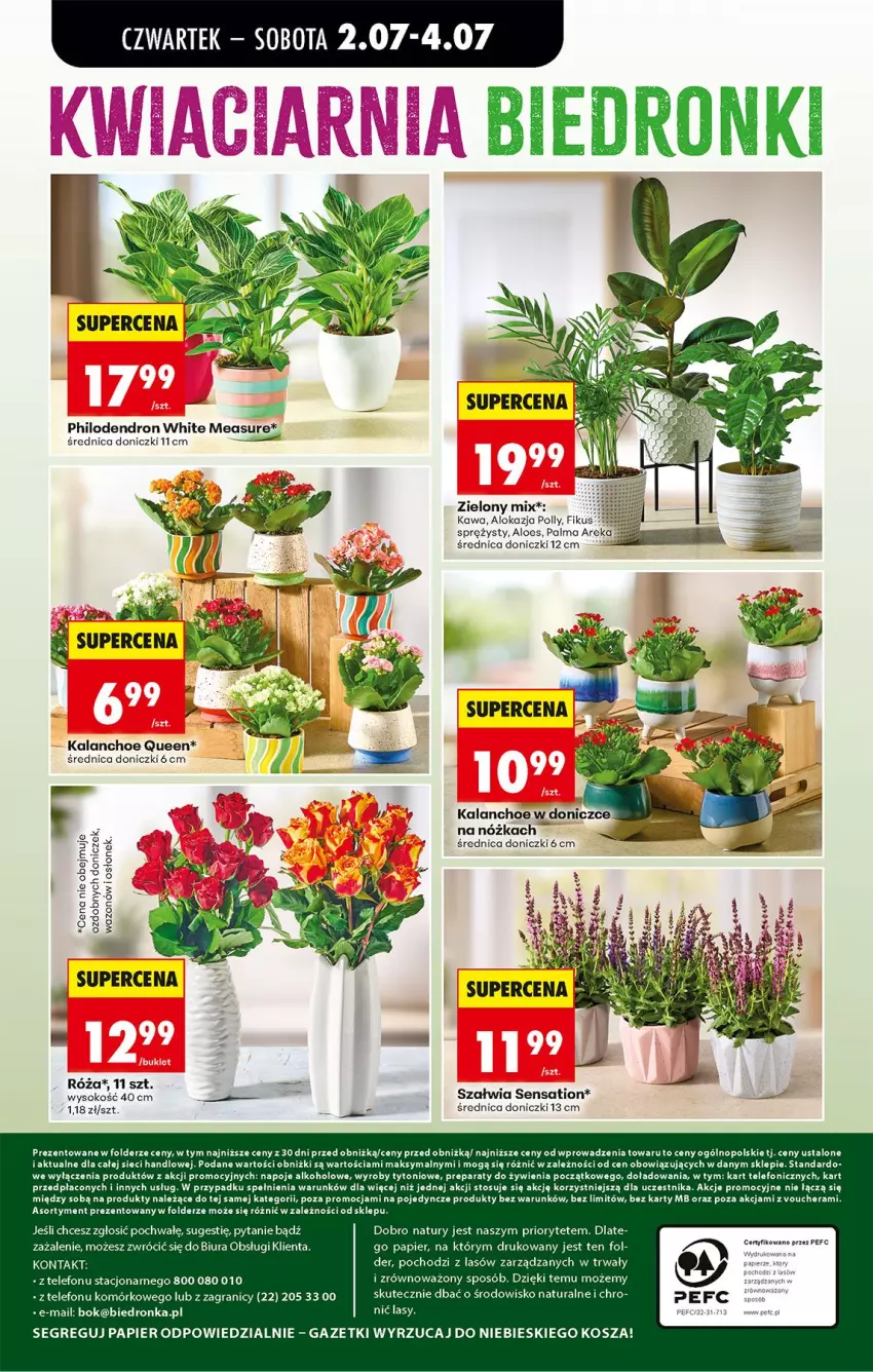 Gazetka promocyjna Biedronka - Od Czwartku - ważna 02.07 do 08.07.2026 - strona 80 - produkty: Gra, Kalanchoe, Kawa, Kosz, Napoje, Palma, Papier, Róża, Sati, Sok, Telefon, Wazon