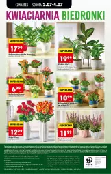 Gazetka promocyjna Biedronka - Od Czwartku - Gazetka - ważna od 08.07 do 08.07.2026 - strona 80 - produkty: Sok, Gra, Telefon, Papier, Róża, Sati, Kawa, Kosz, Kalanchoe, Napoje, Wazon, Palma