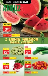 Gazetka promocyjna Biedronka - Od Czwartku - Gazetka - ważna od 27.05 do 27.05.2026 - strona 20 - produkty: Gra, Ogórek, Arbuz, Pomidory, Rzodkiewka, HP