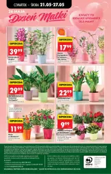 Gazetka promocyjna Biedronka - Od Czwartku - Gazetka - ważna od 27.05 do 27.05.2026 - strona 72 - produkty: Torebka, Koc, Gra, Telefon, Papier, Róża, Chia, Kosz, Kalanchoe, Napoje, Wazon, LG, Fa