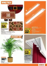 Gazetka promocyjna Obi - Gazetka - ważna od 03.12 do 03.12.2024 - strona 12 - produkty: Wycieraczka, Palma, Szyny, Kokos, Fa