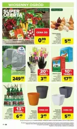 Gazetka promocyjna Carrefour - Gazetka - ważna od 01.03 do 01.03.2025 - strona 30 - produkty: Cebula, Por, Róża, Szal, LEGO, Fa