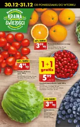 Gazetka promocyjna Biedronka - Od Poniedziałku - Gazetka - ważna od 03.01 do 03.01.2026 - strona 28 - produkty: Ser, Pomarańcze, Deser