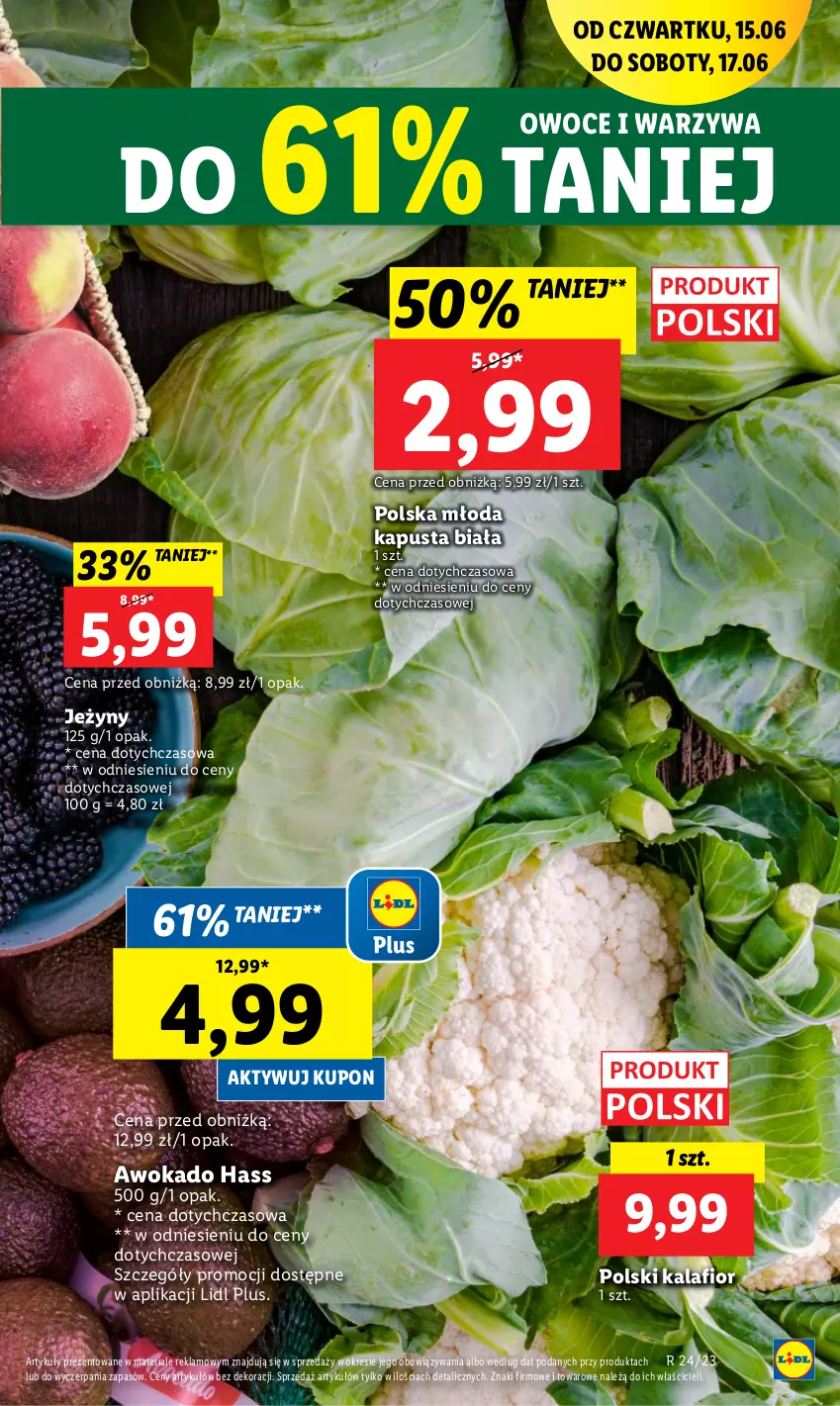 Gazetka promocyjna Lidl - GAZETKA - ważna 15.06 do 17.06.2023 - strona 19 - produkty: Jeżyny, Kalafior, Owoce, Warzywa