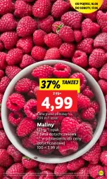 Gazetka promocyjna Lidl - GAZETKA - Gazetka - ważna od 17.06 do 17.06.2023 - strona 21 - produkty: Maliny