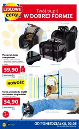 Gazetka promocyjna Lidl - GAZETKA - Gazetka - ważna od 07.08 do 07.08.2021 - strona 24 - produkty: Por, Cień, Tran, Plecak, Smycz, Torba, Sport, Tunel