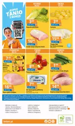 Gazetka promocyjna E Leclerc - Gazetka - ważna od 17.02 do 17.02.2024 - strona 32 - produkty: Ser, Gra, Papier, Szynka wieprzowa, Filet z piersi indyka, Szynka, Serek, Schab wieprzowy, Tilapia, Ser twarogowy