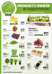 Gazetka promocyjna Makro - Targ MAKRO - oferta świeża w super cenach! - Gazetka - ważna od 25.07 do 25.07.2026 - strona 5 - produkty: Rum, Gry, Kolendra, Rukola, Cytryny, Winogrona, Bazyl, Bazylia, Arbuz, Wino, Pomidor malinowy, Nektar