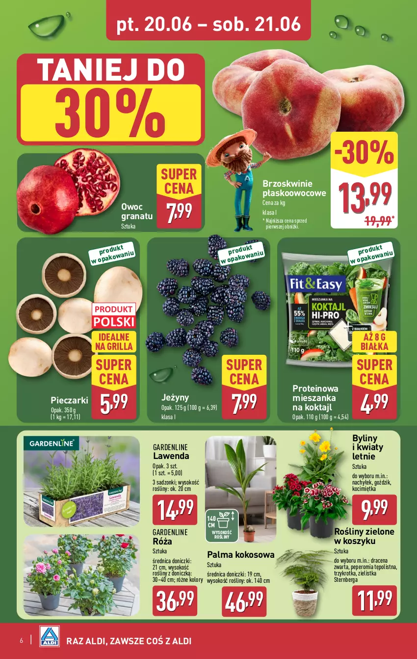 Gazetka promocyjna Aldi - Oferta weekendowa - ważna 18.06 do 21.06.2025 - strona 6 - produkty: Brzoskwinie, Gra, Granat, Grill, Jeżyny, Koc, Kokos, Kosz, Palma, Piec, Róża, Sok