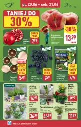 Gazetka promocyjna Aldi - Oferta weekendowa - Gazetka - ważna od 21.06 do 21.06.2025 - strona 6 - produkty: Piec, Sok, Koc, Gra, Róża, Granat, Jeżyny, Kosz, Palma, Brzoskwinie, Grill, Kokos