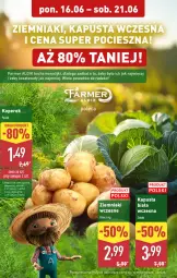 Gazetka promocyjna Aldi - Oferta weekendowa - Gazetka - ważna od 21.06 do 21.06.2025 - strona 8 - produkty: Koc, Ziemniaki, Fa