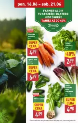 Gazetka promocyjna Aldi - Oferta weekendowa - Gazetka - ważna od 21.06 do 21.06.2025 - strona 9 - produkty: Sałat, Masło, LG, Fa