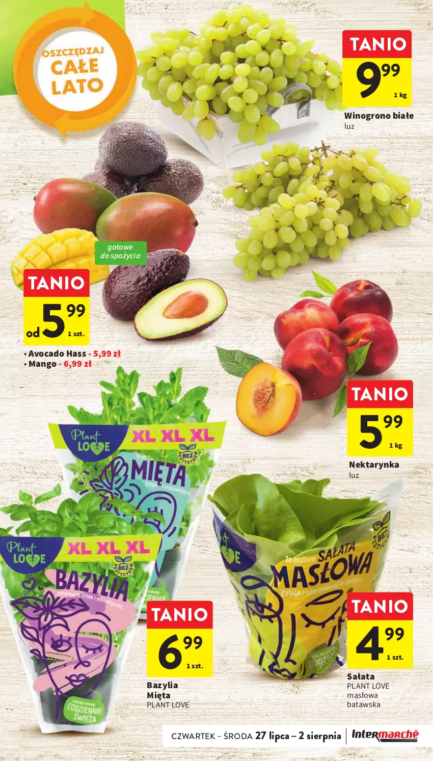 Gazetka promocyjna Intermarche - Gazetka Intermarche - ważna 27.07 do 02.08.2023 - strona 15 - produkty: Avocado, Bazyl, Bazylia, Mango, Masło, Mięta, Nektar, Nektarynka, Sałat, Wino