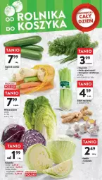 Gazetka promocyjna Intermarche - Gazetka - ważna od 29.11 do 29.11.2023 - strona 19 - produkty: Ogórek, Czosnek, Siatka, Sałat, Seler naciowy, Natka pietruszki, Imbir