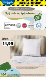Gazetka promocyjna Lidl - GAZETKA - Gazetka - ważna od 03.09 do 03.09.2022 - strona 4 - produkty: Rama, Tran, Waga, Poduszka