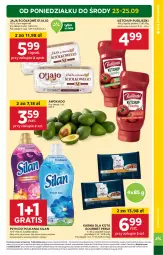 Gazetka promocyjna Stokrotka - Market - Gazetka - ważna od 25.09 do 25.09.2024 - strona 5 - produkty: Ketchup, Gra, Jaja, Silan, Płyn do płukania, Pudliszki, HP