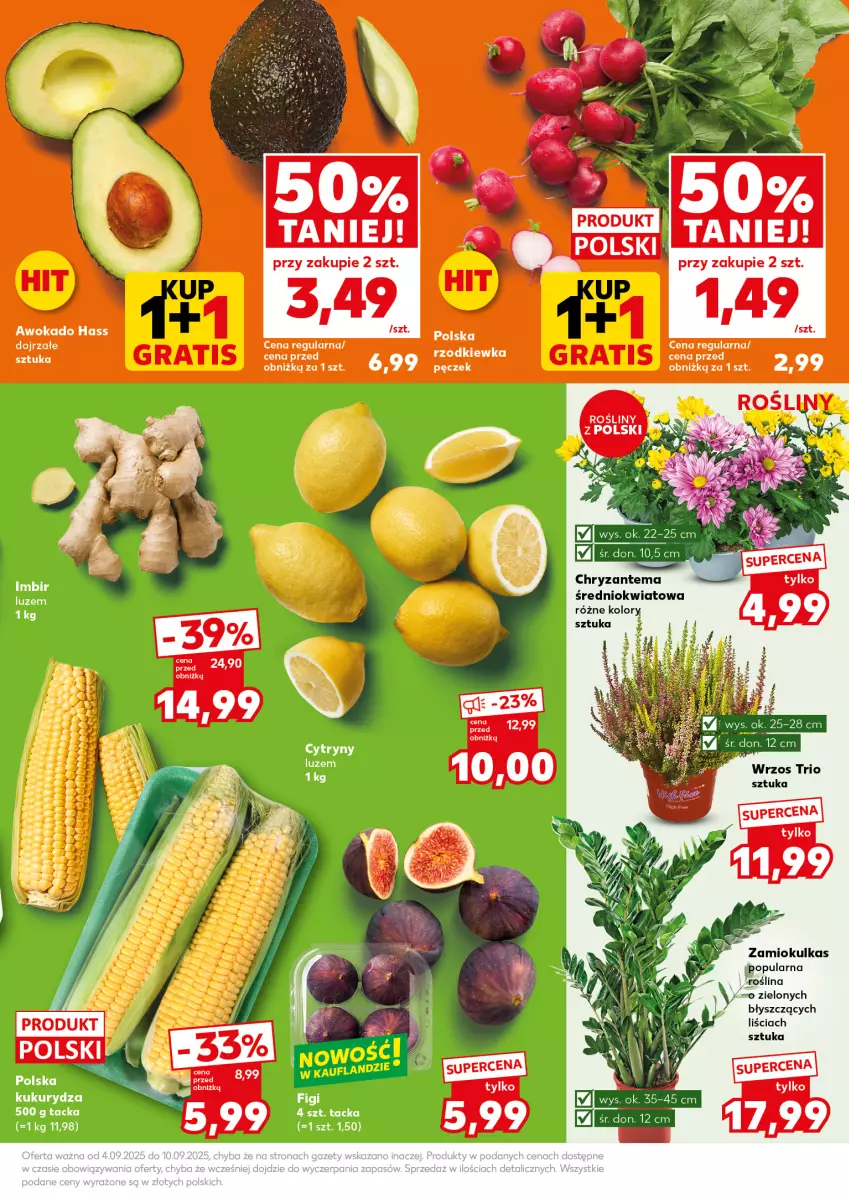 Gazetka promocyjna Kaufland - Mocny Start - ważna 08.09 do 10.09.2025 - strona 15 - produkty: Chryzantema, Cytryny, Figi, Imbir, Kukurydza