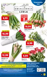 Gazetka promocyjna Lidl - GAZETKA - Gazetka - ważna od 27.04 do 27.04.2022 - strona 63 - produkty: Sok, Gry, Hiacynt, Tulipan, Mola