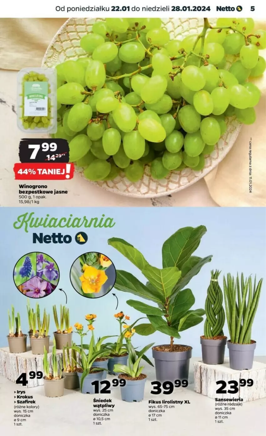 Gazetka promocyjna Netto - ważna 22.01 do 28.01.2024 - strona 21 - produkty: Fa, Wino