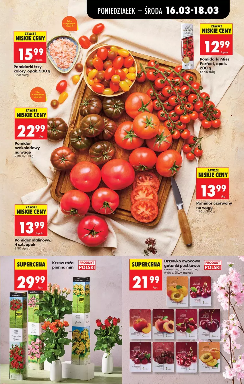 Gazetka promocyjna Biedronka - Od Poniedziałku - ważna 16.03 do 21.03.2026 - strona 29 - produkty: Brzoskwinie, Pomidor malinowy, Pomidorki, Róża