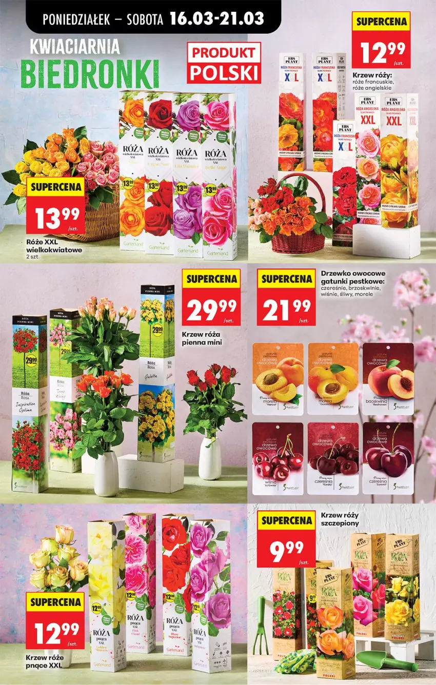 Gazetka promocyjna Biedronka - Od Poniedziałku - ważna 16.03 do 21.03.2026 - strona 79 - produkty: Brzoskwinie, Fa, Róża