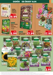 Gazetka promocyjna Kaufland - Kaufland - Gazetka - ważna od 19.04 do 19.04.2025 - strona 37 - produkty: Kora ogrodowa, Roszponka, Papryka, Sałat, Prima, Bazyl, Bazylia, Nawóz, Ogród