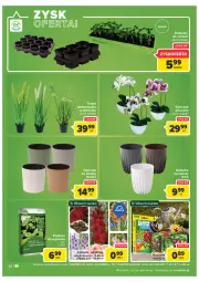 Gazetka promocyjna Carrefour - Gazetka Carrefour Zyskoteka - Gazetka - ważna od 14.02 do 14.02.2022 - strona 20 - produkty: Top, Storczyk, Osłonka