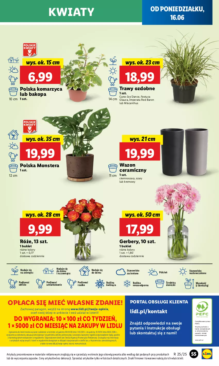 Gazetka promocyjna Lidl - GAZETKA - ważna 16.06 do 18.06.2025 - strona 65 - produkty: Bukiet, Cień, Gerber, Gra, Laur, Mola, O nas, Por, Portal, Sok, Tera, Wazon