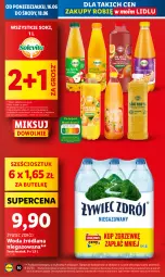 Gazetka promocyjna Lidl - GAZETKA - Gazetka - ważna od 18.06 do 18.06.2025 - strona 10 - produkty: Sok, Wazon, LANA, Woda