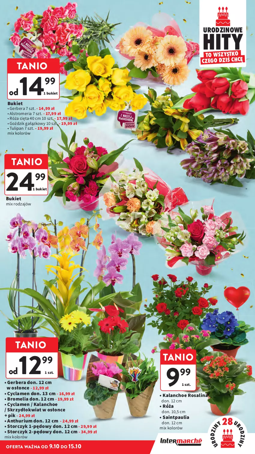 Gazetka promocyjna Intermarche - Gazetka promocyjna - ważna 09.10 do 15.10.2025 - strona 11 - produkty: Bromelia, Bukiet, Gerber, Kalanchoe, Róża, Storczyk, Tulipan