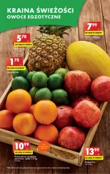 Gazetka promocyjna Biedronka - Gazetka - Biedronka.pl - Gazetka - ważna od 04.02 do 04.02.2023 - strona 13 - produkty: Gra, Granat, Kret, Pomarańcze, Owoce