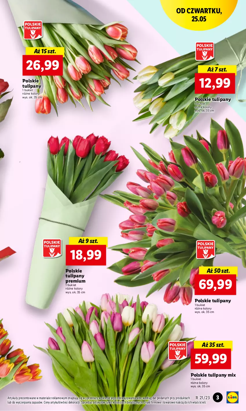 Gazetka promocyjna Lidl - GAZETKA - ważna 25.05 do 27.05.2023 - strona 3 - produkty: Bukiet, Tulipan