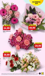 Gazetka promocyjna Lidl - GAZETKA - Gazetka - ważna od 27.05 do 27.05.2023 - strona 5 - produkty: Piwo, Gerber, Chryzantema, Bukiet