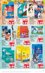 Gazetka promocyjna Kaufland - OFERTA TYGODNIA - Gazetka - ważna od 21.04 do 21.04.2021 - strona 43 - produkty: Whiskas, Friskies, Felix, Sucha karma