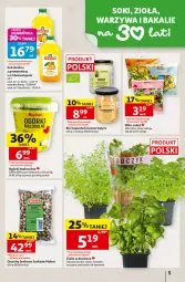 Gazetka promocyjna Auchan - 30 Lat Hipermarket - Gazetka - ważna od 23.09 do 23.09.2026 - strona 5 - produkty: Sok, Pietruszka, Kolendra, Zioła w doniczce, Sałat, Bazyl, Bazylia, Mięta
