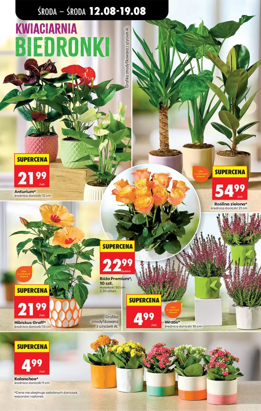 Gazetka promocyjna Biedronka - Od Środy - ważna 12.08 do 14.08.2026 - strona 79 - produkty: Fa, Gra, Grafika, Hibiskus, Kalanchoe, Róża, Sok, Wazon