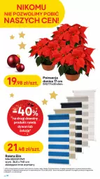 Gazetka promocyjna Castorama - Boże narodzenie, Święta 2022 - Gazetka - ważna od 26.12 do 26.12.2022 - strona 30 - produkty: Top, Sok, Rama, Poinsecja, Kosz, Tran, Roleta, Astor, Sprzedawcy, Dywan