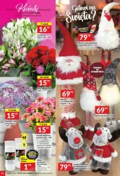 Gazetka promocyjna Twoj Market - Gazetka - ważna od 19.11 do 19.11.2024 - strona 19 - produkty: Teleskop, Ser, Bukiet, Skrzat