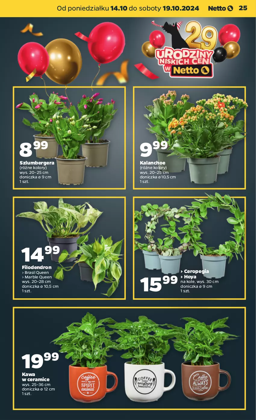 Gazetka promocyjna Netto - Netto Gazetka Food 42/24A - ważna 14.10 do 19.10.2024 - strona 25 - produkty: Kalanchoe, Kawa, Szlumbergera