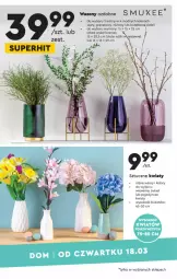 Gazetka promocyjna Biedronka - Okazje tygodnia - Gazetka - ważna od 31.03 do 31.03.2021 - strona 29 - produkty: Sok, Gra, Granat, Wazon, Bukiet