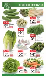 Gazetka promocyjna Intermarche - Gazetka - ważna od 12.06 do 12.06.2024 - strona 8 - produkty: Ogórek, Czosnek, Siatka, Natka pietruszki