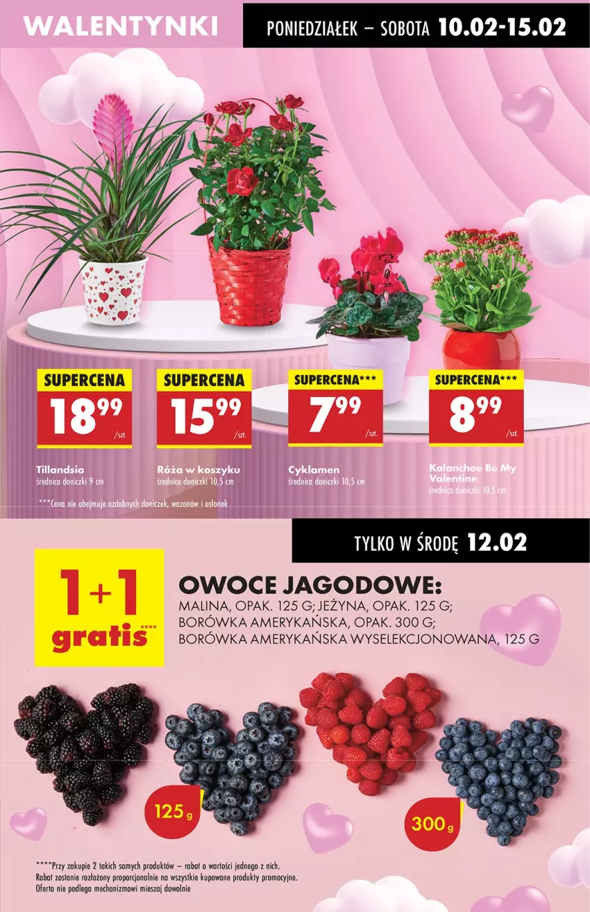 Gazetka promocyjna Biedronka - Od Poniedziałku - ważna 10.02 do 15.02.2025 - strona 25 - produkty: Borówka, Borówka amerykańska, Owoce, Por