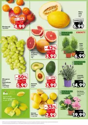 Gazetka promocyjna Kaufland - Gazetka - ważna od 17.04 do 17.04.2024 - strona 9 - produkty: Mandarynki, Siatka, Winogrona, Wino