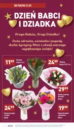 Gazetka promocyjna Aldi - Pełny katalog - Gazetka - ważna od 22.01 do 22.01.2022 - strona 2 - produkty: Hiacynt, Gerber, Tulipan, Róża, Bukiet