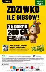 Gazetka promocyjna Żabka - Gazetka - ważna od 17.05 do 17.05.2022 - strona 50 - produkty: Gra, Dres, Fa