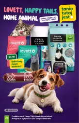 Gazetka promocyjna Stokrotka - Supermarket - Gazetka - ważna od 07.10 do 07.10.2026 - strona 47 - produkty: Warzywa, Pasztet, Optima, Owoce, Mięso
